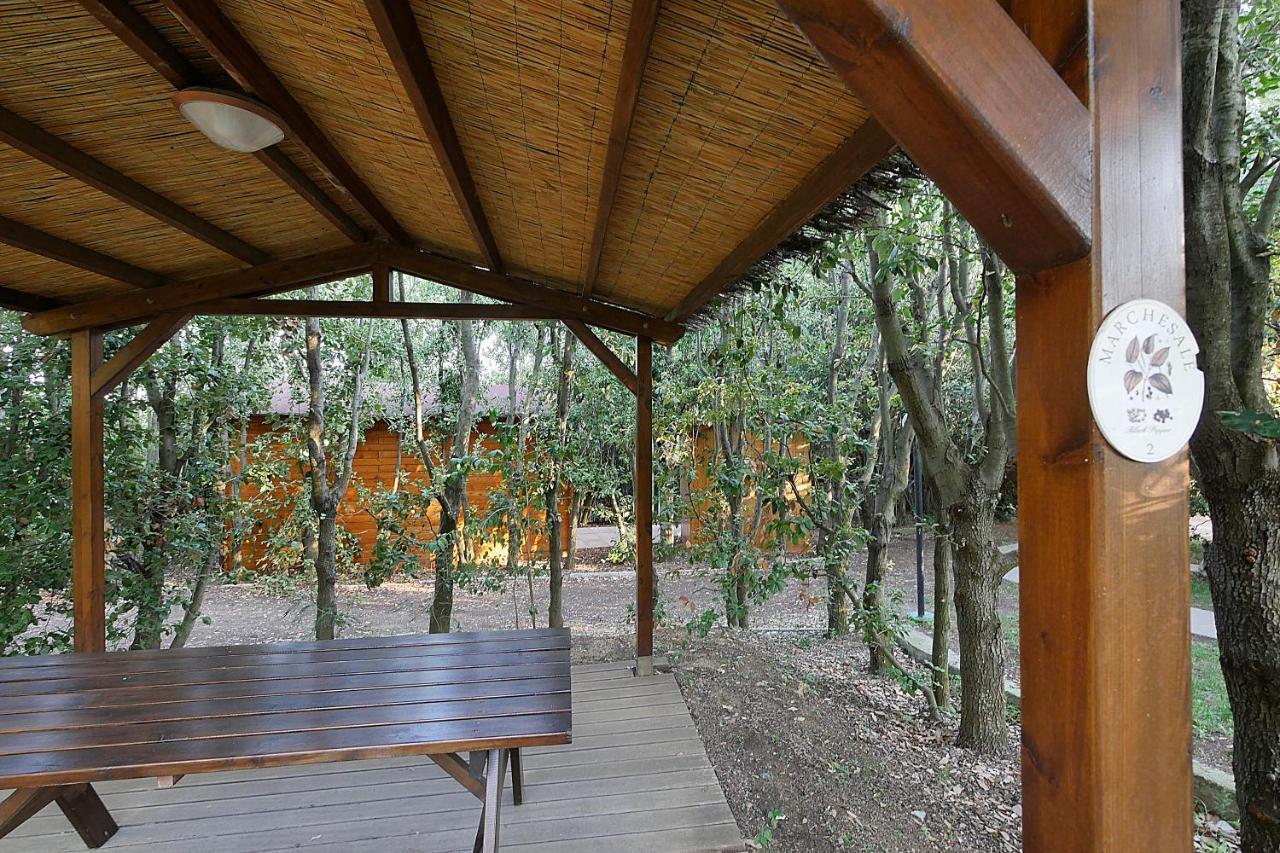 Agriturismo Le Vallette Bibbona Exterior photo